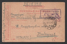 1917 Novonikolaevsk Censorship, WWI Censored POW postcard from Novonikolaevsk to Austria with violet boxed handstamp 'Military censor DC 19 (ДЦ 19)' and Vienna cs