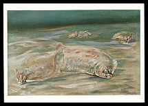 1933-1945 'Flatfish', Propaganda Postcard, Third Reich Nazi Germany