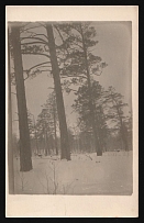 1917-1920 'Siberian taiga', Czechoslovak Legion Corps in WWI, Russian Civil War, Postcard