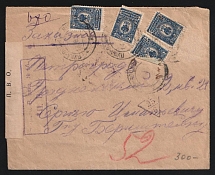 1916 Petrograd Censorship, WWI Censored Registered cover from Pushcha-Vodytsia to Petrograd with violet boxed censor handstamp 'Opened by censor 56'